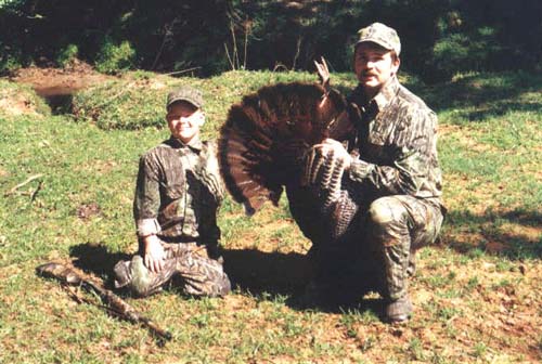 Derek's Cow shy Turkey